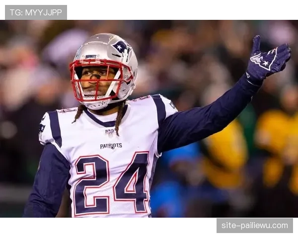 爱国者11胜2负领跑美东 新秀四分卫表现稳健